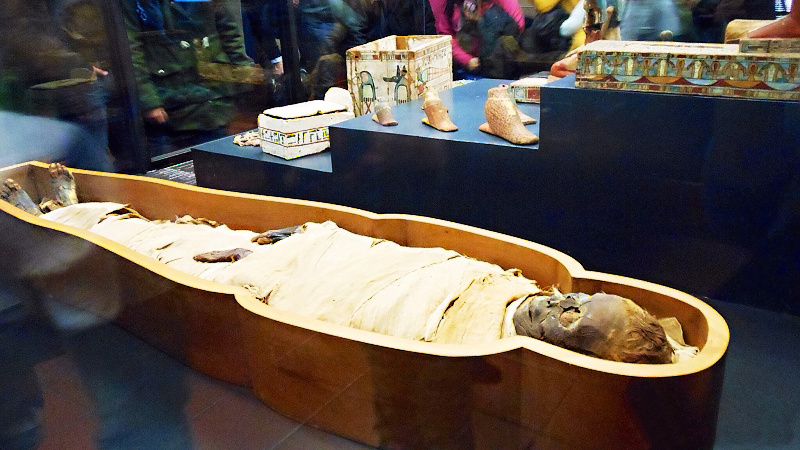 91108689 egyptian mummy vatican museums