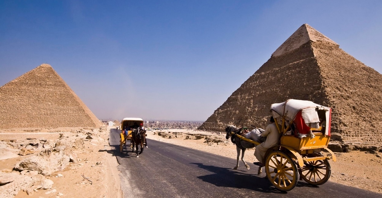 Horse Carriage at Pyramids