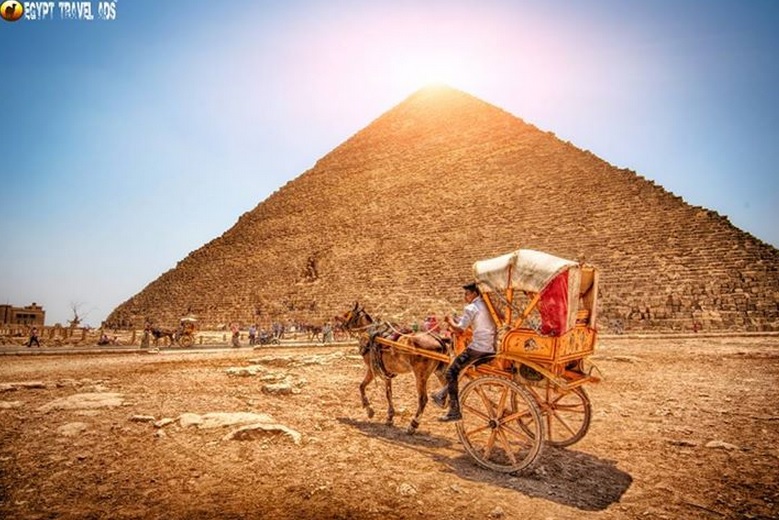 Pyramids Horse