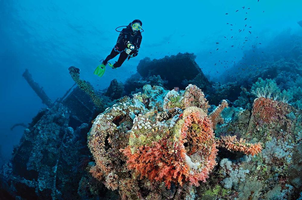 scu red sea aggressor diving
