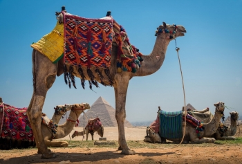 El Cairo - Excursiones Inusuales