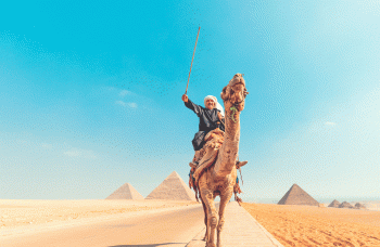 Trips to Egypt