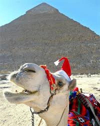 Luxury Christmas In Egypt