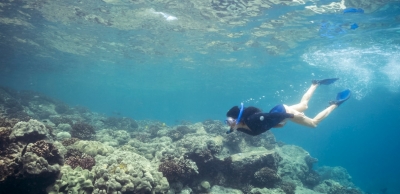 Blue Hole and Three Pools Snorkeling Tours in Dahab