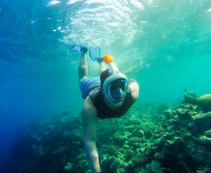 Tours de Snorkel y Buceo en Isla Mahmya en Hurgada