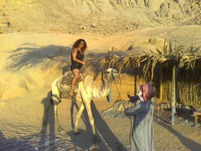 Montar en Camello y Cena Beduina en Taba