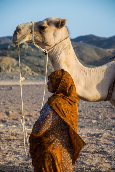 Desert Safari Tours in Marsa Alam