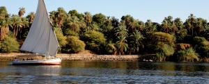 Asuán, Kom Ombo Faluca Crucero por el Nilo