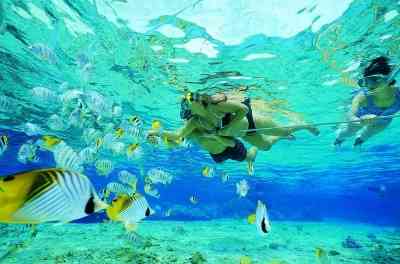 Sharm El Naga Snorkeling