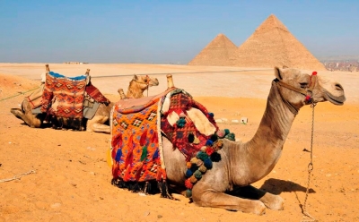 Have The Chance To Discover Egypt