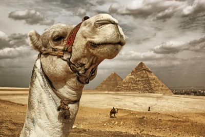 Would You Like To Enjoy In Egypt Tours?