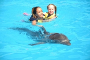 Nadar con Delfines en Sharm El Sheikh
