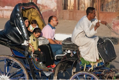 Aswan Horse carriage ride tours