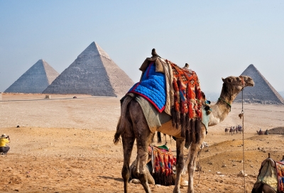 Holiday to Egypt 2020/2021