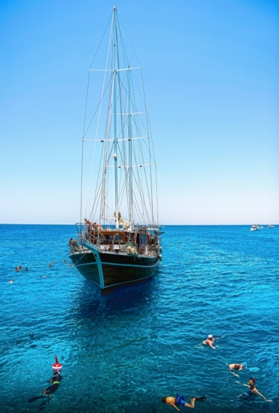Red Sea Tours Packages