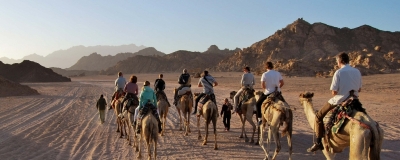 Safari Excursiones y Montar Camellos en Sharm El Sheikh